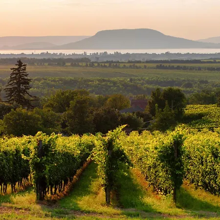 Tatil Evi In 35399 Balatonmáriafürdő